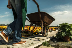 Gardener