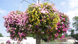 DSCN0897.JPG