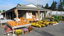 DSCN1125.JPG